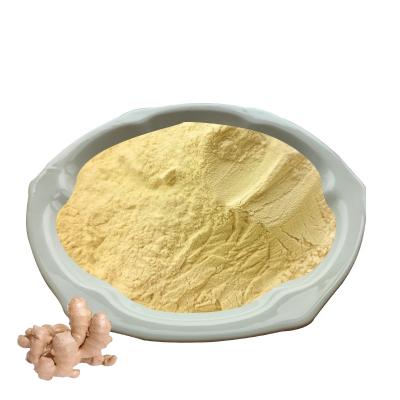 2% Gingerol Ginger Juice Powder 