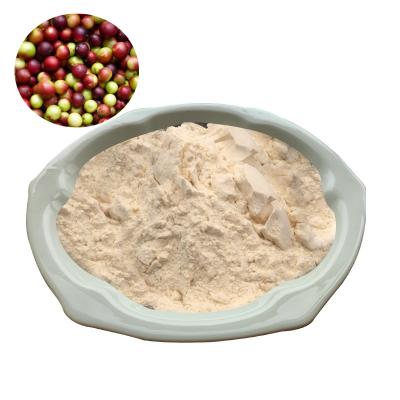 Camu Fruit Juice Powder