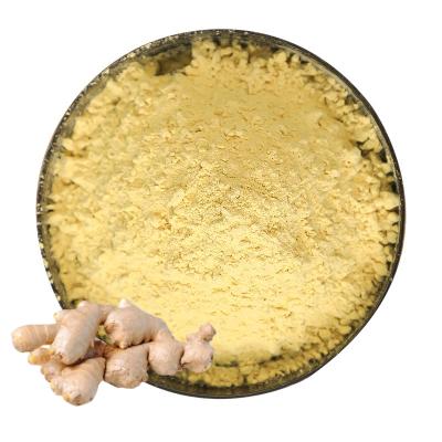 Common Ginger Powder 