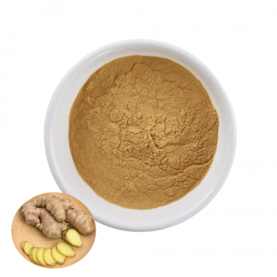 10% Gingerol Ginger Juice Powder 