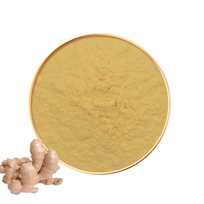 5% Gingerol Ginger Juice Powder 