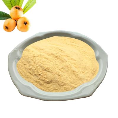 Loquat Juice Powder