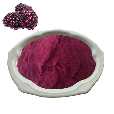 Mulberry Juice Powder